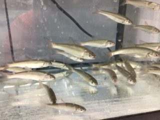 5FFC850B-0572-4B47-839E-AB75A5EE86EF