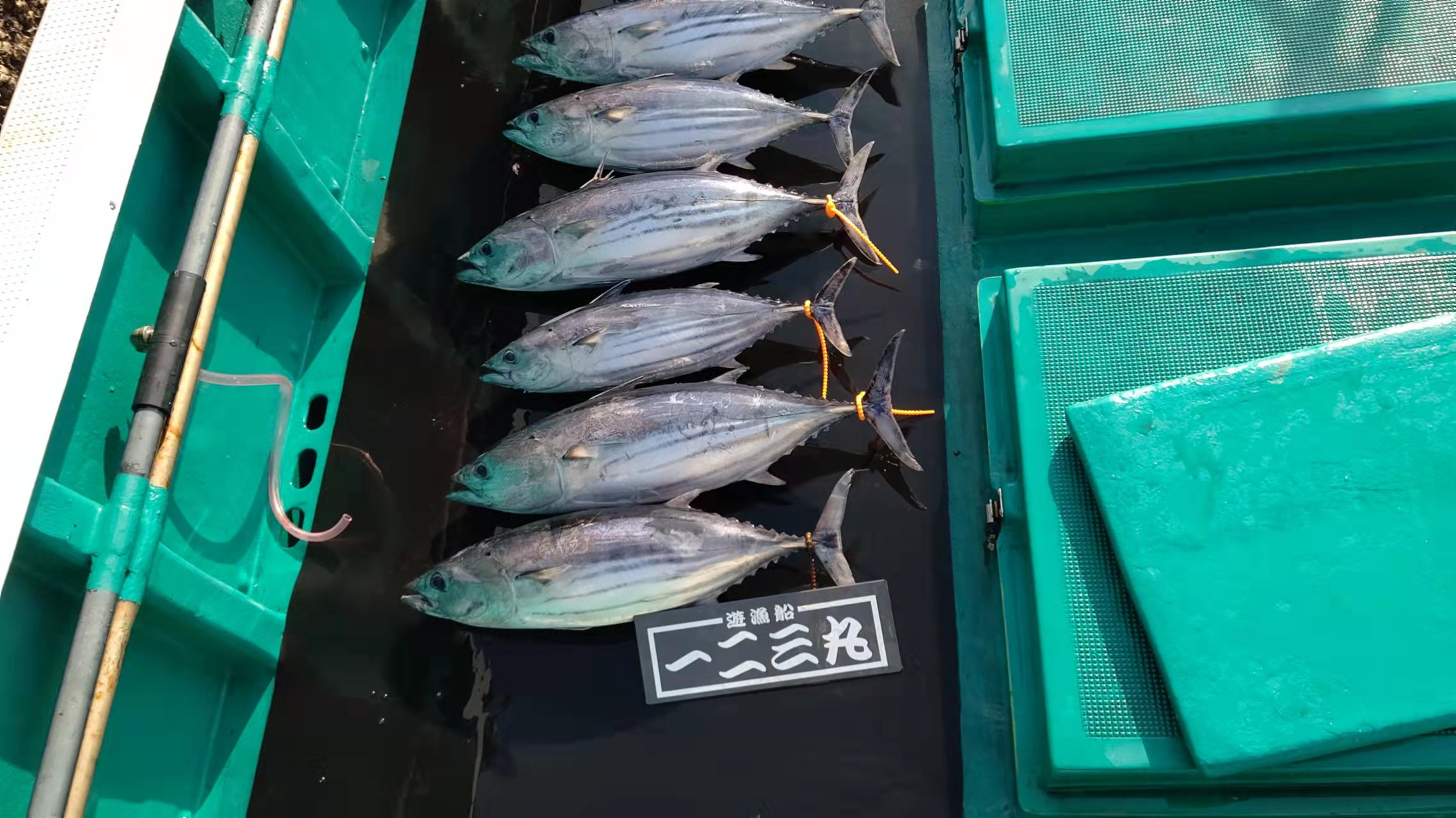 5月8日一二三丸横