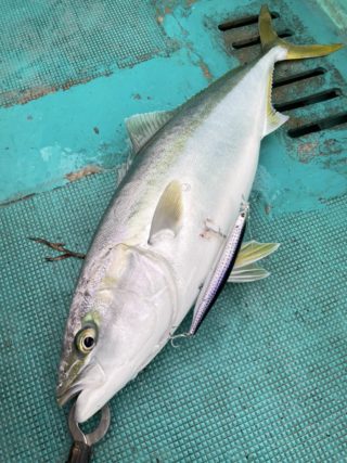 A9EC17EE-E237-4037-B1B4-EDA33501A36E