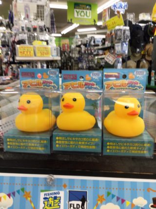 D091EBDA-5654-4435-941A-78158297873F