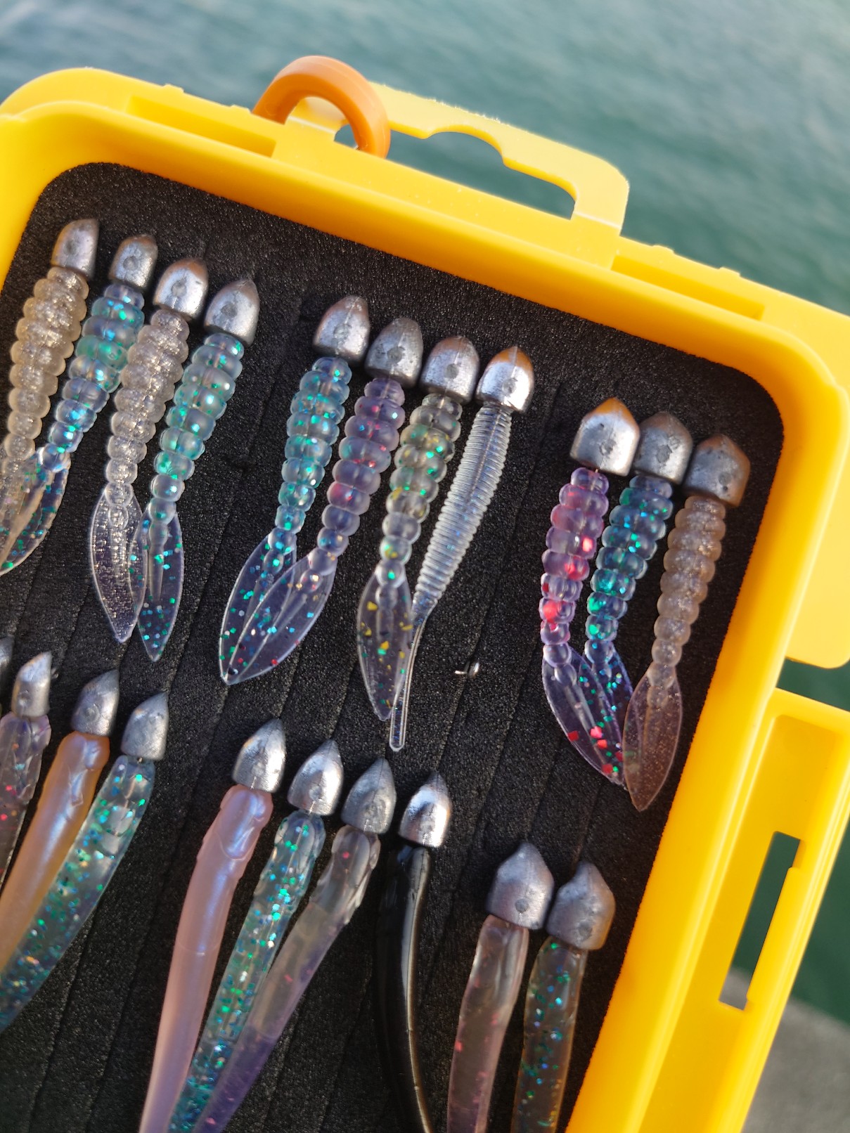 DSC_3864_copy_1209x1612