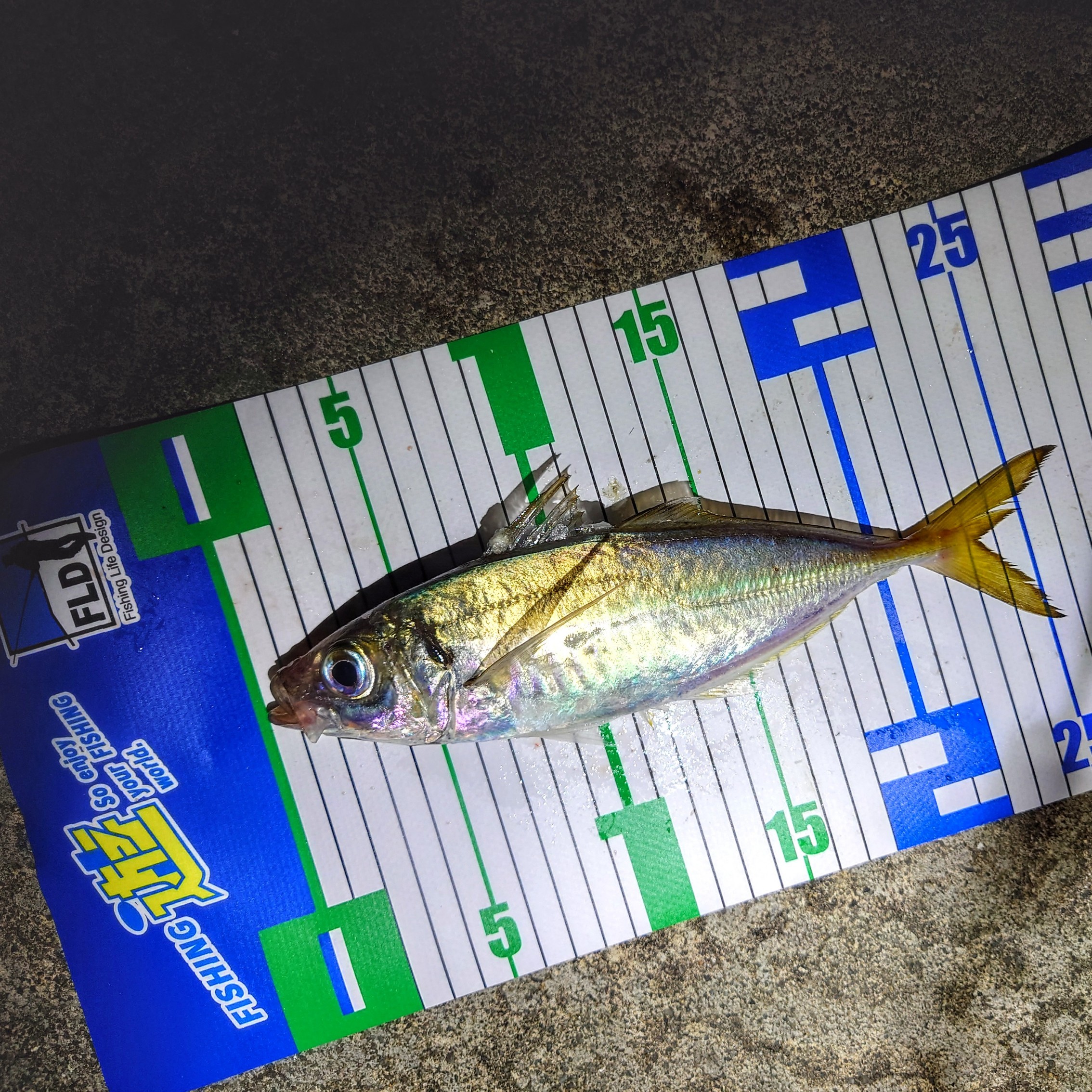 DSC_3882~2_copy_2268x2268