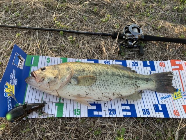 TZYV9af9RkkqAKb1g29PATs8a_2cAUYXiV84l2IaCrVPqyyENM0d_jqyUYUxnTa71y_sR9ogVJu8hMqeDj4hYsTHwnvkZBZsIGUC_ZVCTV120v0HwdauGtMLmAi0DqGy