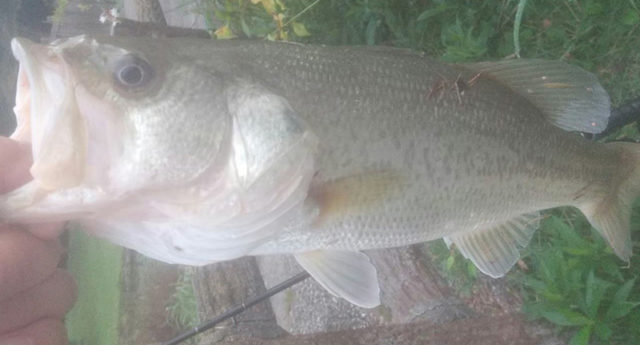 5月3日-板垣忠男様