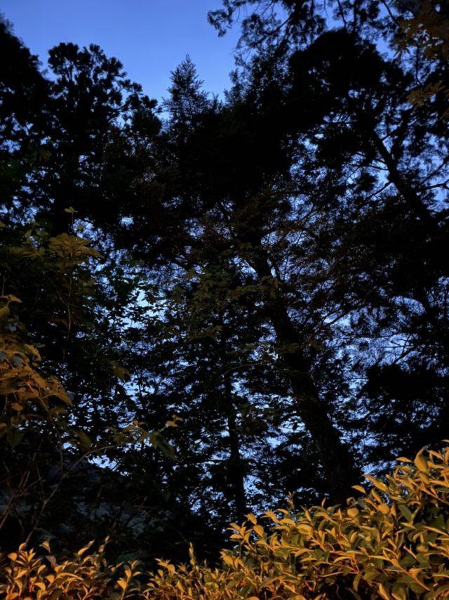 sHnWEDQKQyR-IszCiOAogiybY5Q5fS4eX07OvdZGrdGtj46fc6pKGPbpbKnmdbrk-4gUlkEUu8Nj3q6B6A8H1Ni7a401a9_PnXzfXfK5AlxQqNaTfYddfBHuX2e5gUVz