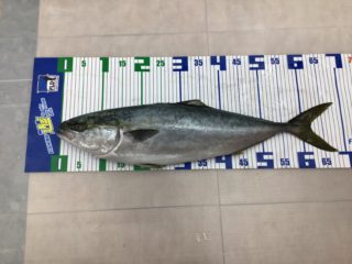 14081965-002C-4469-8370-C6F8C30F4E63