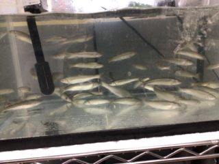 4953816A-F39D-4812-A860-E82F9D902709