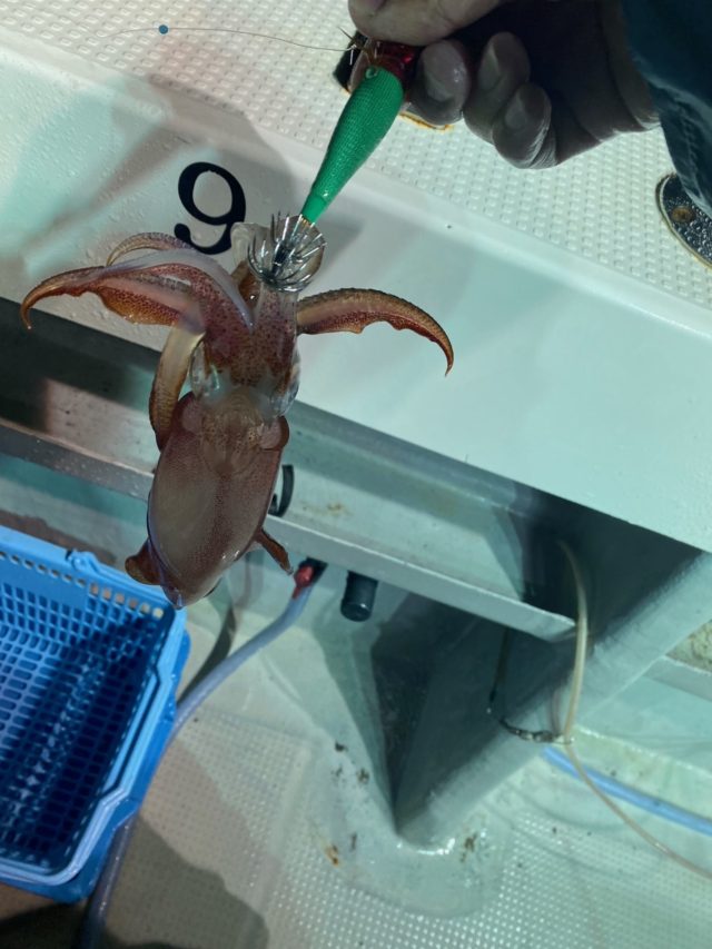 7E2E0B80-4D08-4A09-A6F4-31EBFA60005E