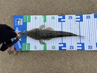 8BAA6809-87FB-48DD-8559-3B2D512EA6A4