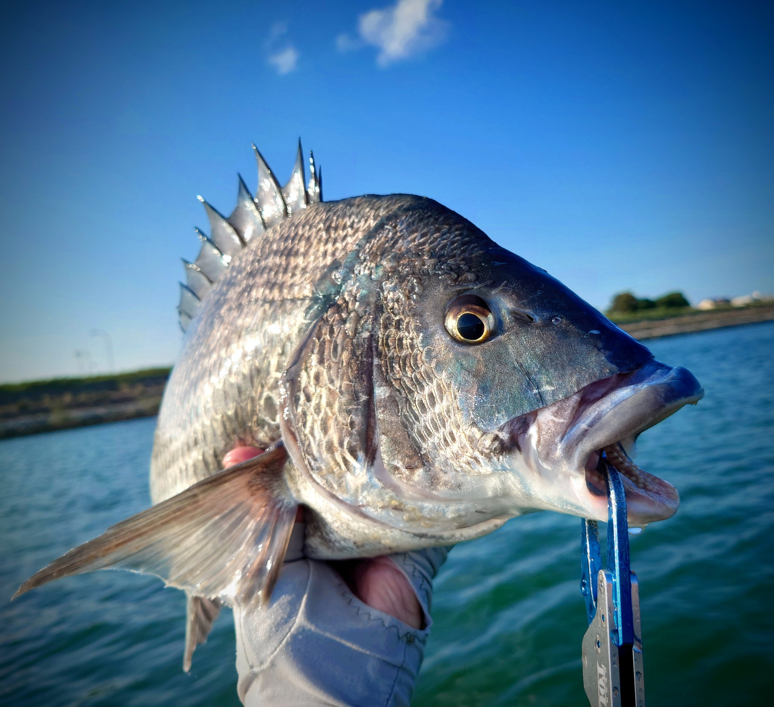 DSC_4002~2_copy_2481x2268