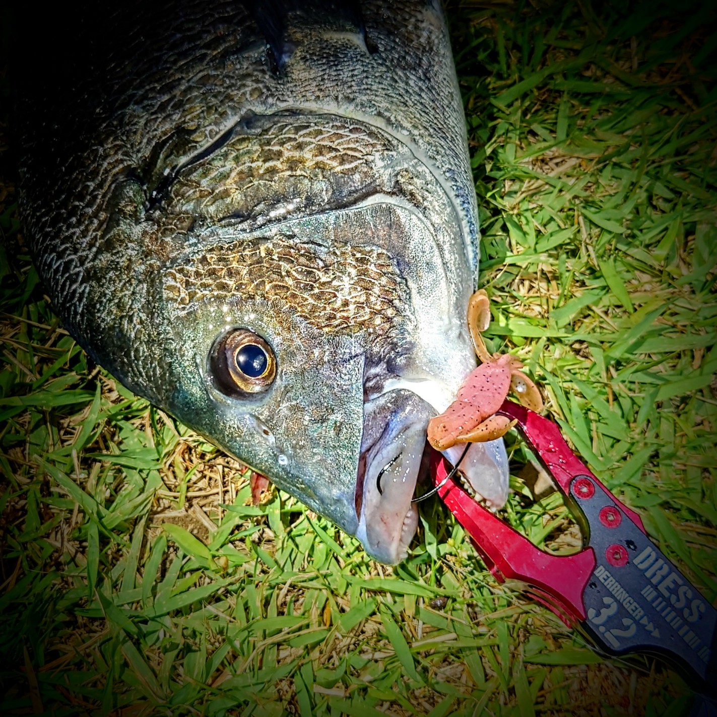 DSC_4179~2_copy_1423x1423