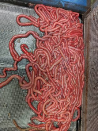 line_oa_chat_220602_160507