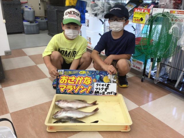 052378A5-1754-4783-ADAF-89237208AB67