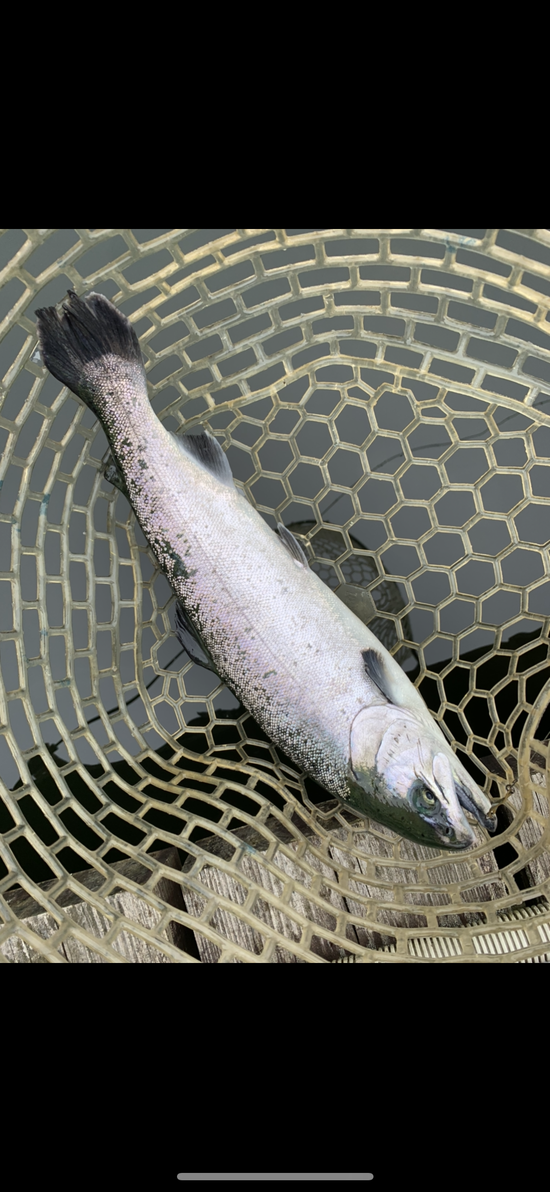 0B0F6921-4FB1-43D1-969B-180F7D48C748