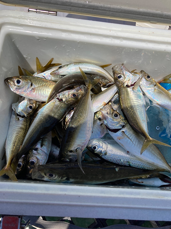 7月25日-どんちゃん様