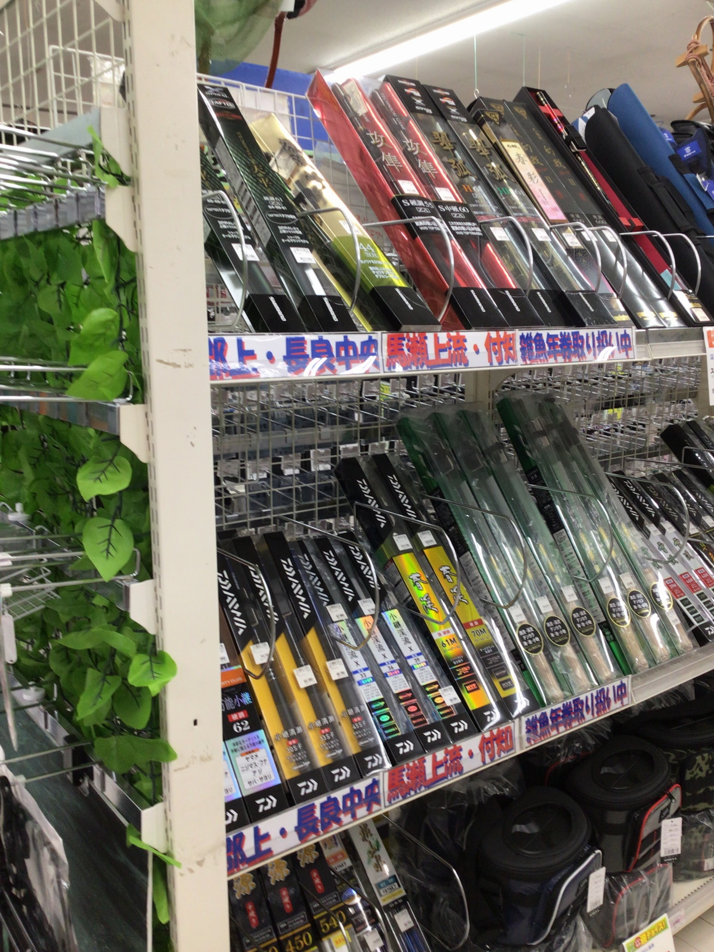 29237E75-2FCB-44A5-8BC5-453776A72C06