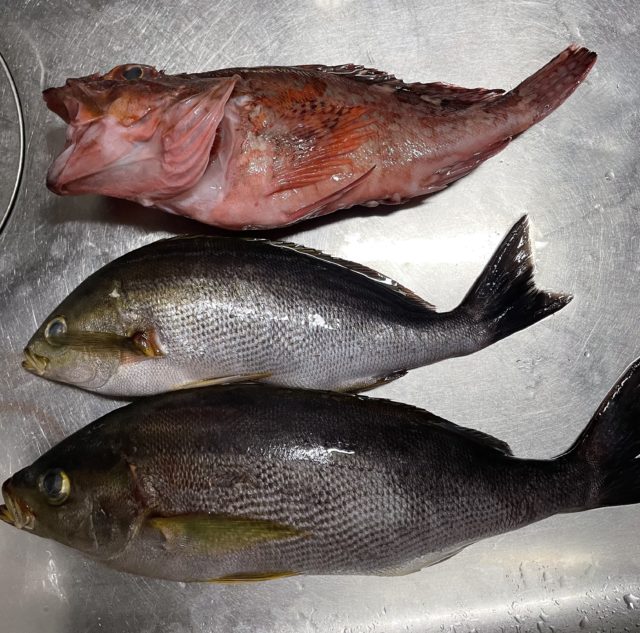 30191C7D-1AB3-4965-A359-09599C175061