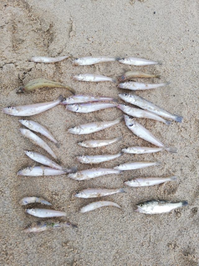 7月10日 佐々木孝忠様