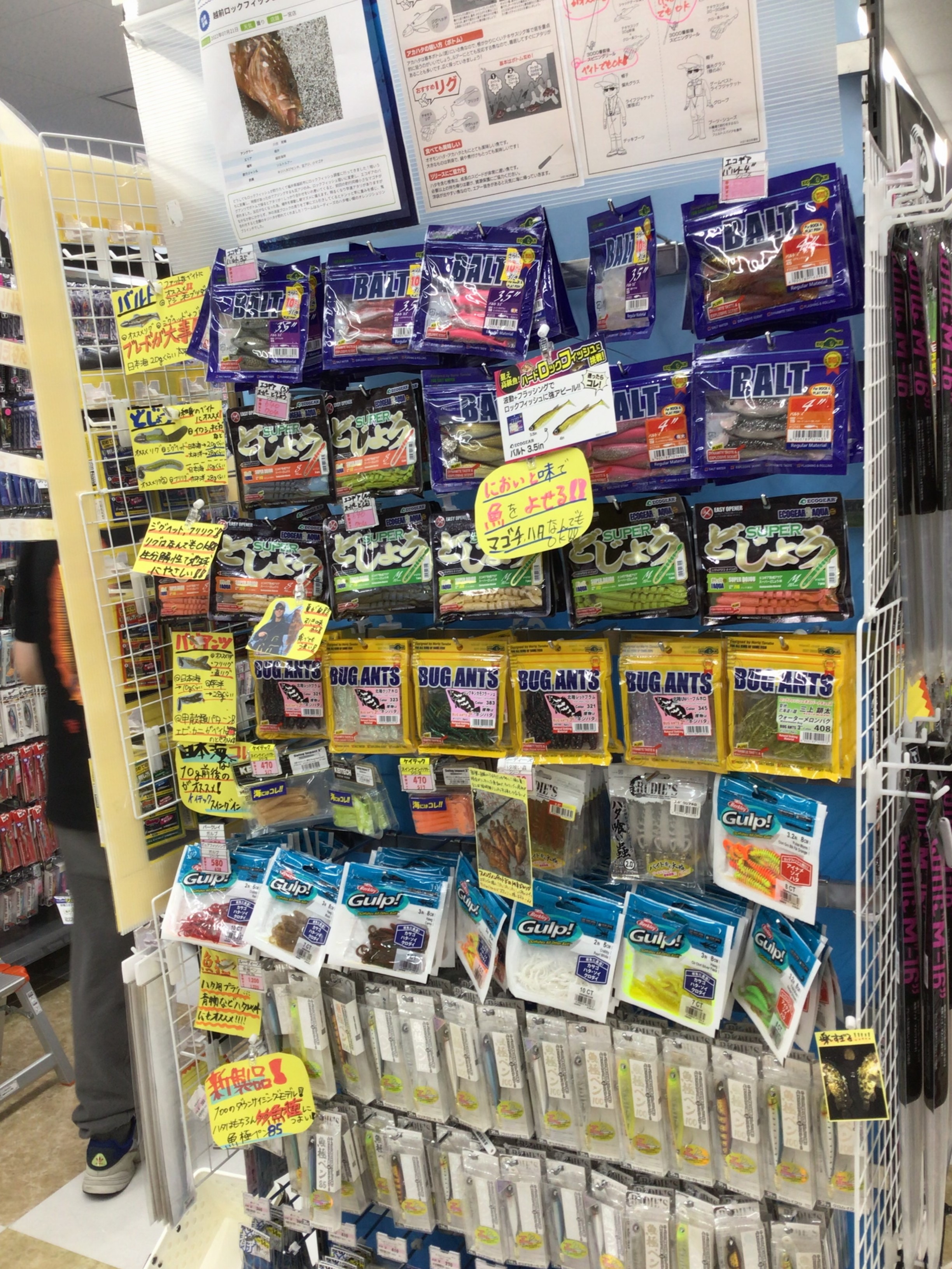 73AFFAF1-74B3-4ECB-9805-66DD8A282845