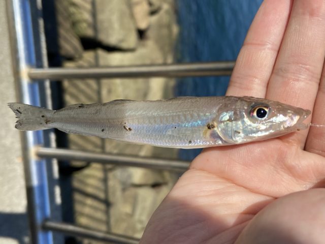 80987494-5349-4665-92BE-7E5F647897C9