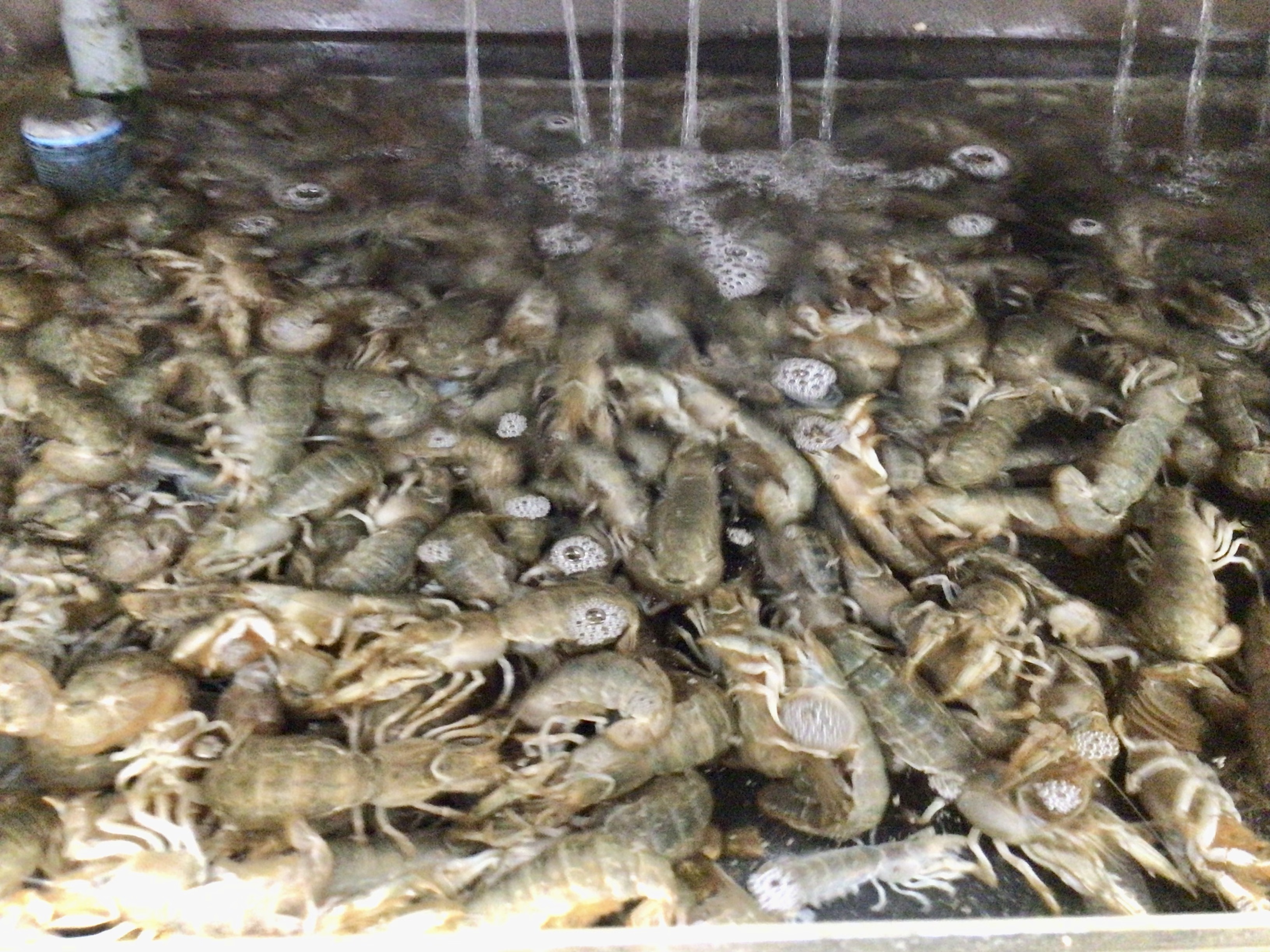 8B4D1199-F2F1-43BA-B76C-383BB5FECC06