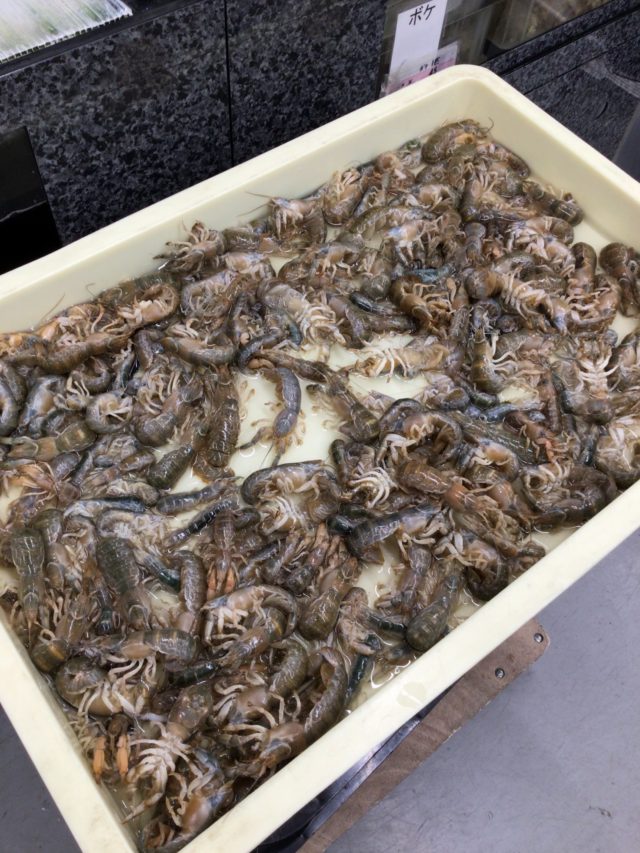 8EE24326-6A79-4247-93C6-BE5ECE6877C8