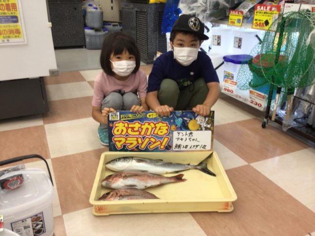 A580B7EE-E10F-4C81-BF72-A00D2C06939F