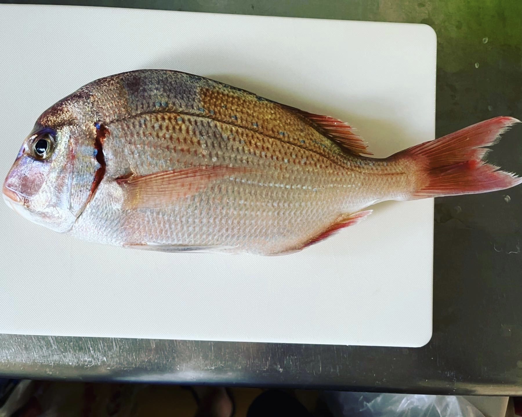 B0D2E7CD-55B3-4662-820D-A468C0BAD520