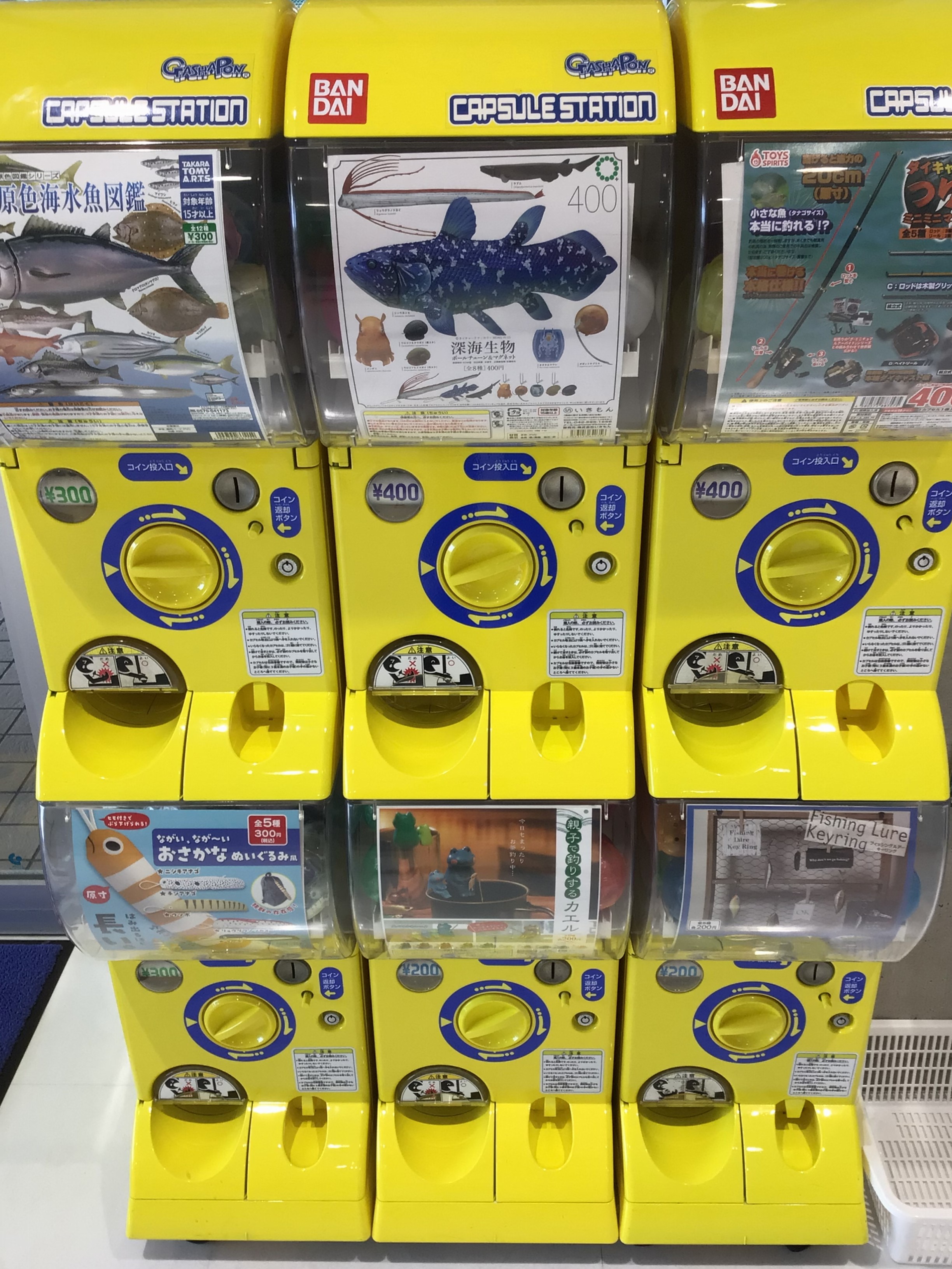 C48EA6CF-13E9-46EB-8D91-EF8D47D0279D