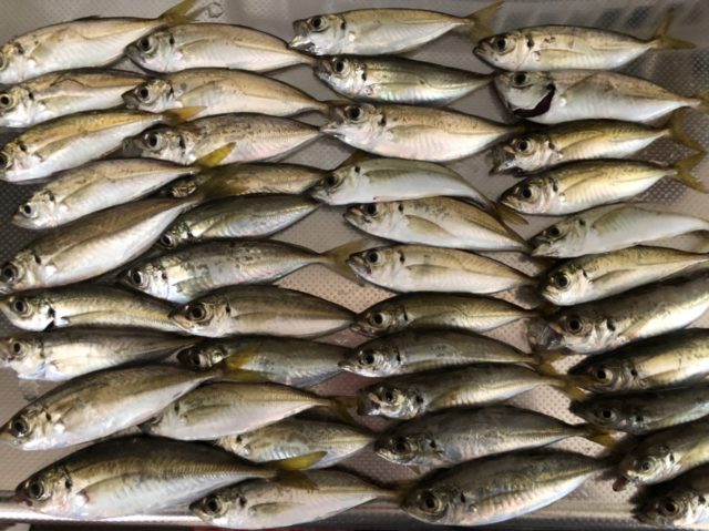 CA4573B4-4702-482A-8F0F-80B4F97EAED8