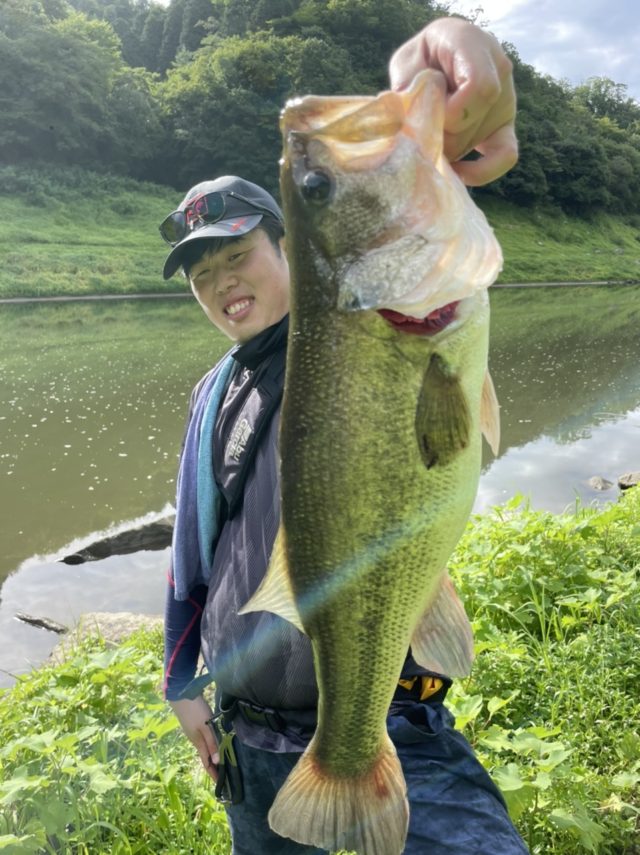 D0DEBFE6-117E-4B60-83D7-7BCC26884B7D