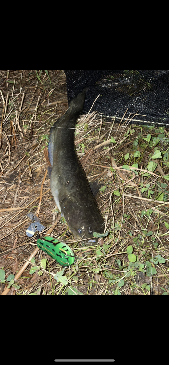 D62F3DED-E39C-488F-944E-71C52E8F5A68