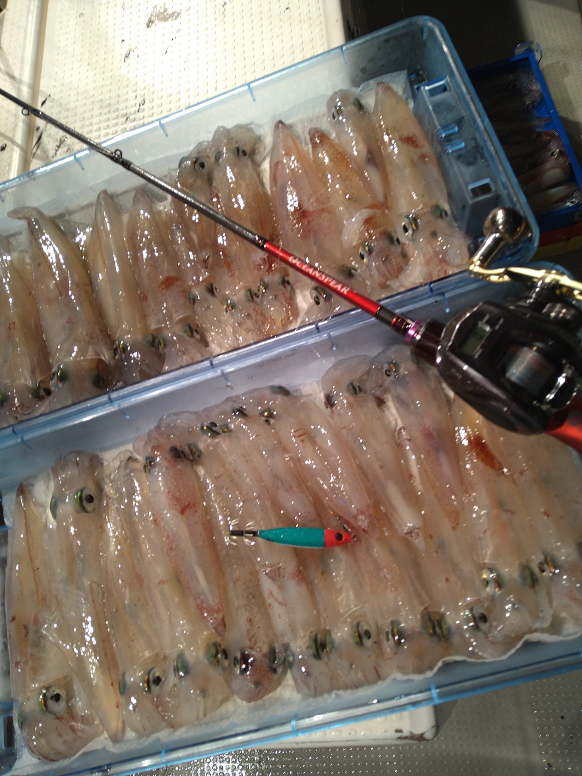 DSC_0001_BURST20220705225836867 (1)