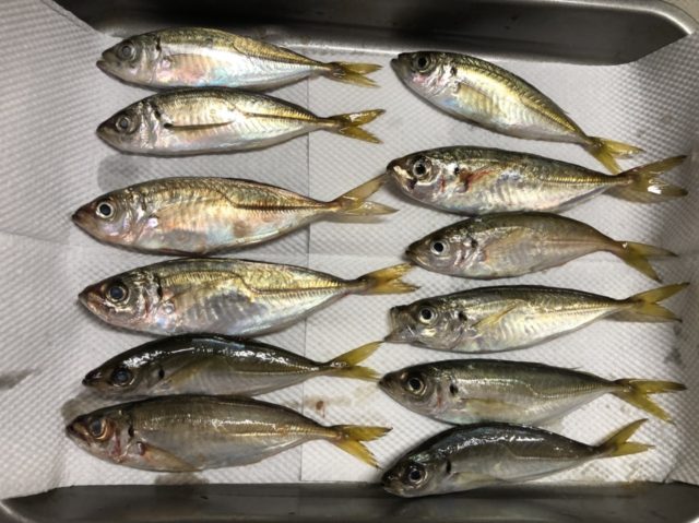 E3C9796D-DA4C-4B1C-A60B-117F33F53972