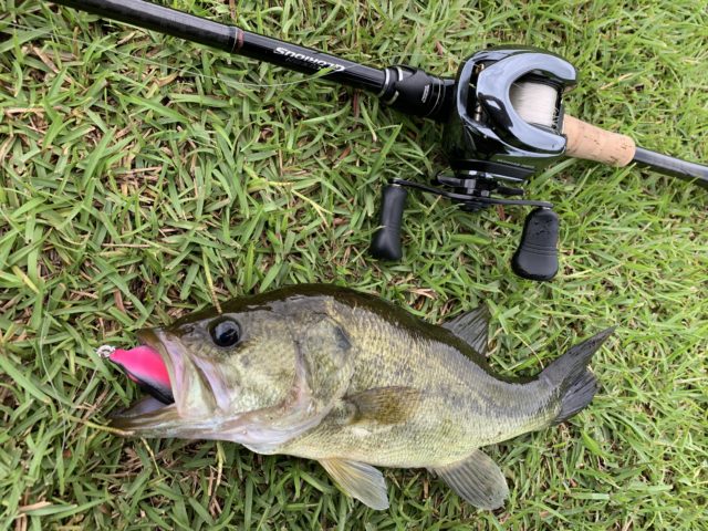 EC371B25-7948-4854-A062-0BD4B6AD756E