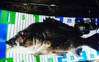 IMG_20220717_234426_820