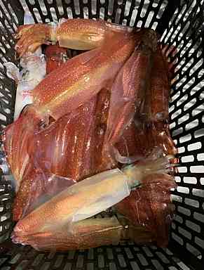 bec8ee5890357620b32d6cae24172d1e