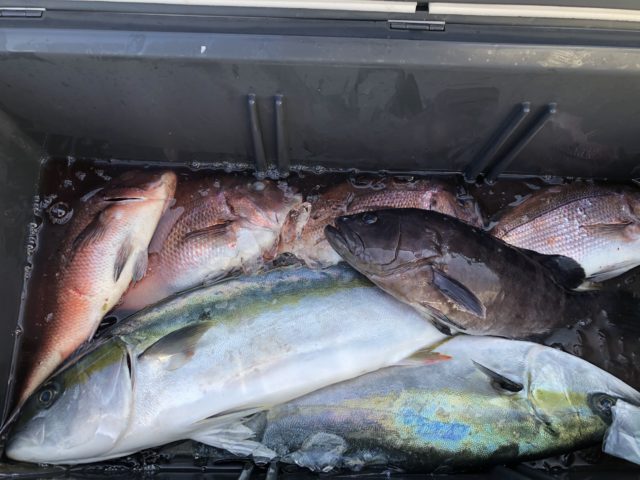 7月24日 藤田の前田様