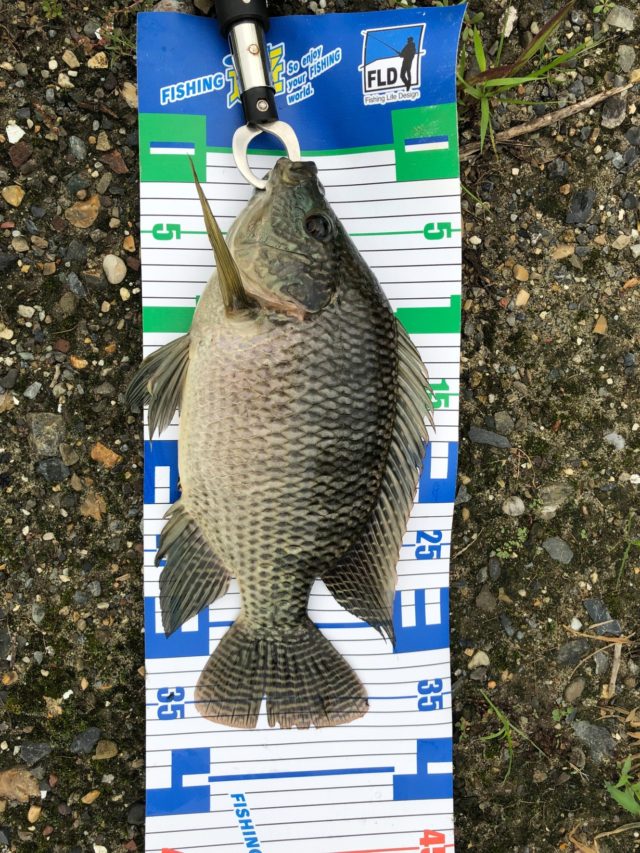 mzu9imjEDiiPjlVZh00n9iTJTmMai24AsU0BI4ru2aqEp2B0K-tcqNcRLDg9OEv2lkPYhscrm7tTJ2HtMl8lmni4ZCbjcZ1Z3Hfim2DJ5iaFLpFDiPb_WNyxo3-eIAcD