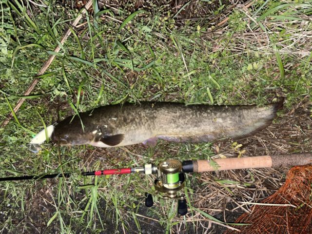 _pXP9RifqgsbcJ9eigZQ7S2rD4lo6qMShCmlR4Ua5-ofhgF8LErhd8NiDc7vV_bk_e5md_3rf7iqKMneBZG9Bf__9jIbJkCSPzBsxnTq_wNJPFSNMJjUKG1R5GzFjhwK