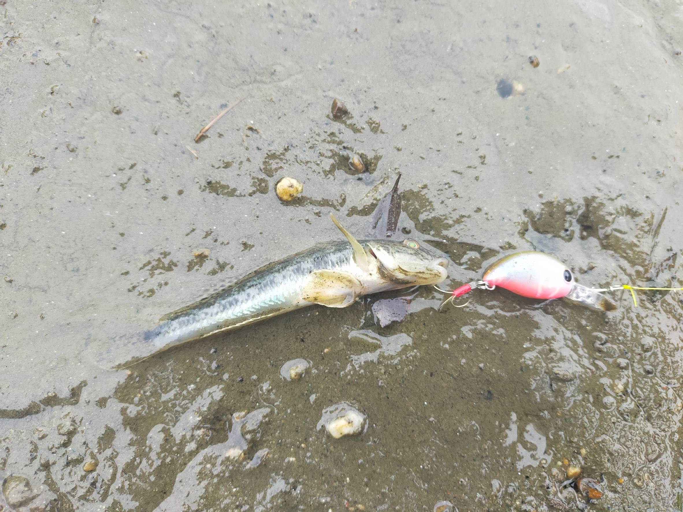 vAW_dJvVqFrI41rfU5zVCTGJT7XjrxWqqZYxWT57BZ08_bQ2Vod4Y1tS1XkXwiqdix5y-I0fSoYUWZphM5e4aBKxYiJ2AoqDvQOlXZPdJXb4r3tigqiDafF4hBSjUUqC