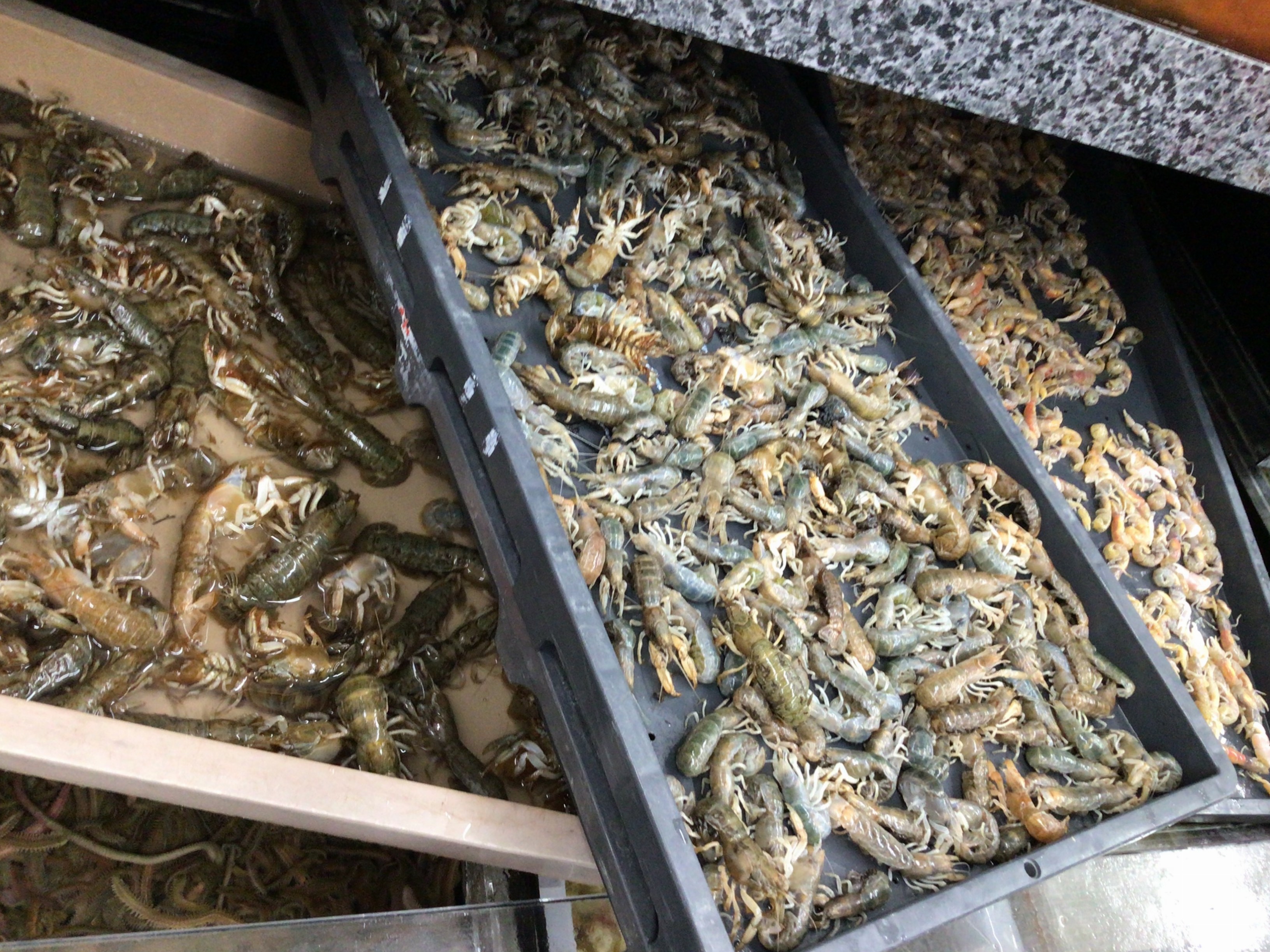 006039DE-07A0-41D3-A2C2-B9C6322AD453