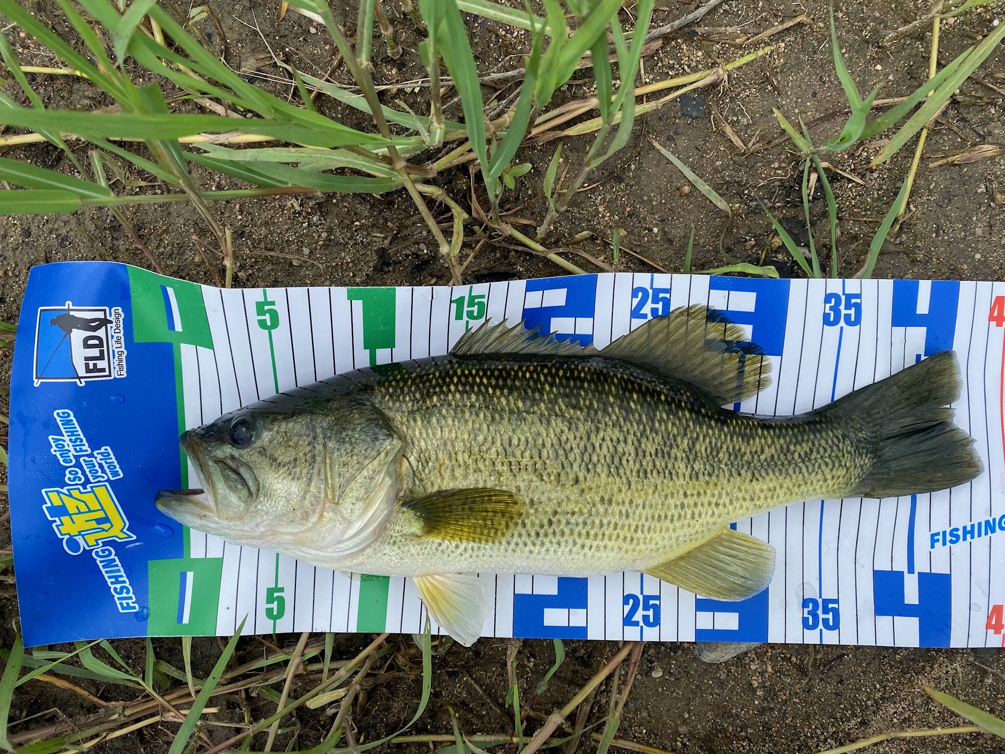 02D8A3C2-2EB2-44F7-B14B-F3782A33377B