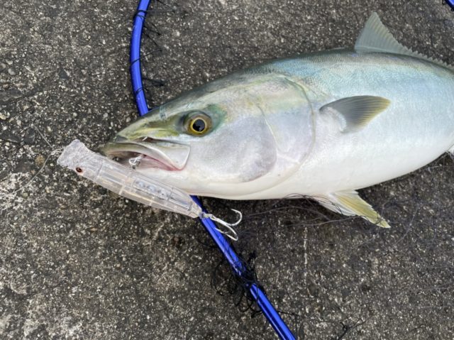 122A5F25-753E-4563-BEE7-26EB88B66234