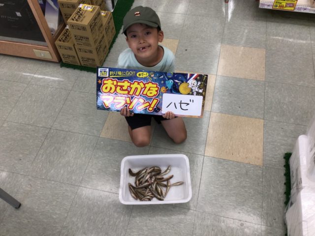 185FD161-EF95-4BDA-8745-CBF427B7EB8B