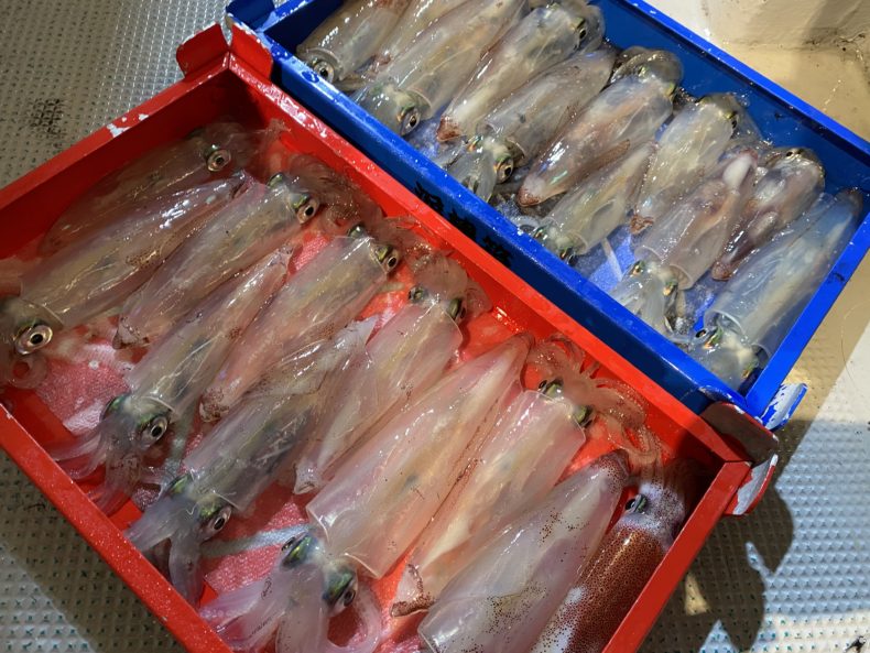 3C1729EA-975D-4E2A-BB20-946E14DCD236