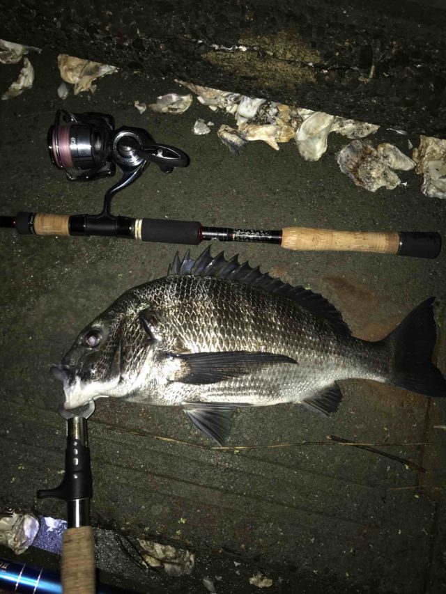 56e6c1fa-fd64-49ee-9448-c30ecc84b243