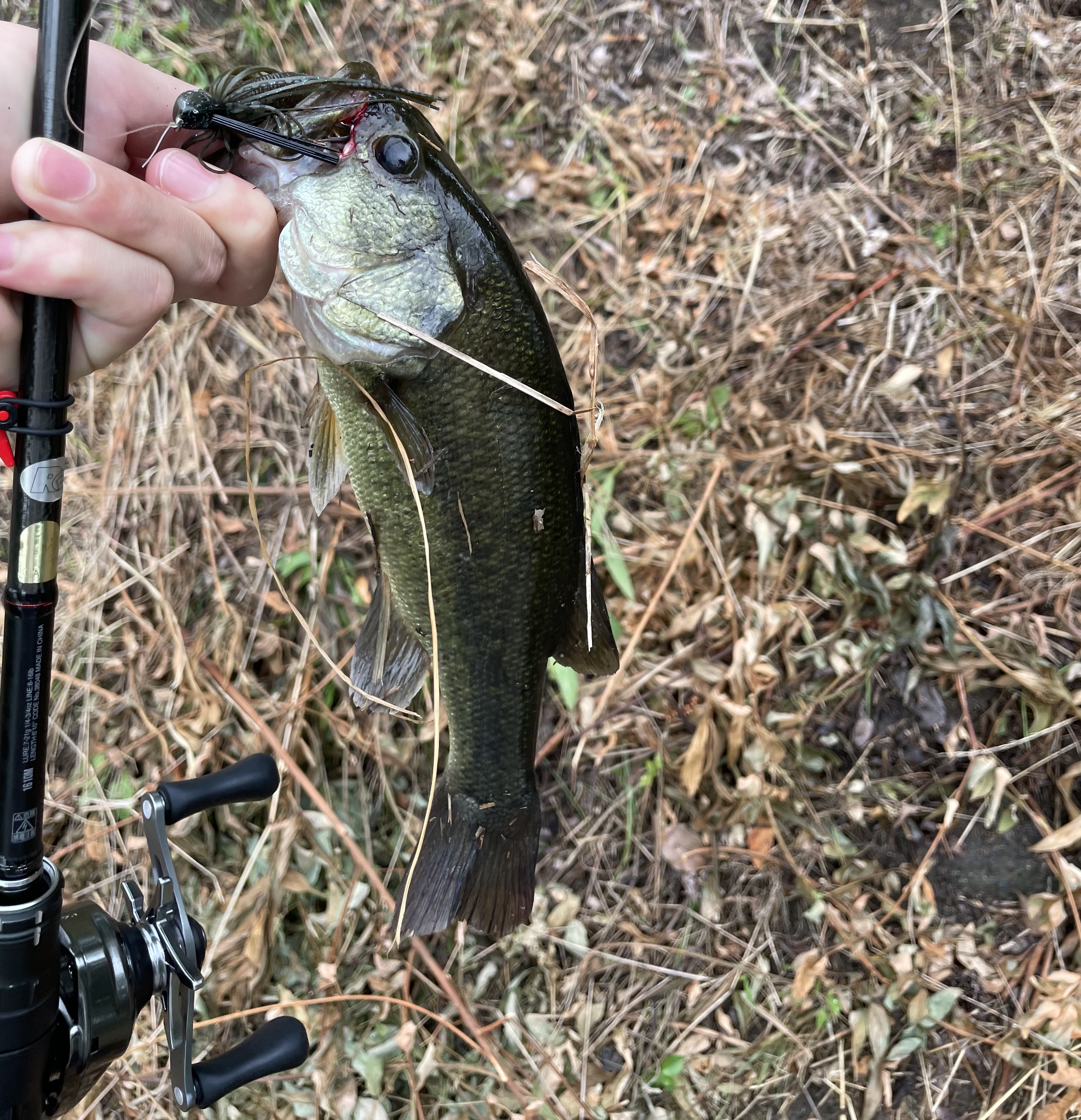 59E24899-781C-4381-80F3-5ECB5AEABBEF