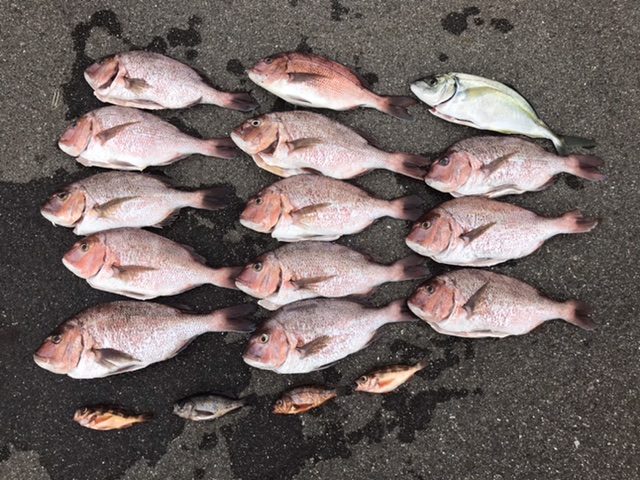 5E3EF381-8512-4163-AF9E-40CD2C38125F