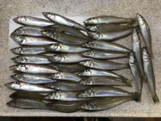 6FE525FC-1A6B-4C9A-AE47-62C44D562E43